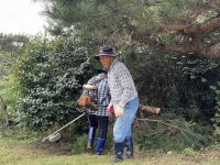 25년 진도 연동 문중묘 벌초