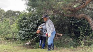 25년 진도 연동 문중묘 벌초